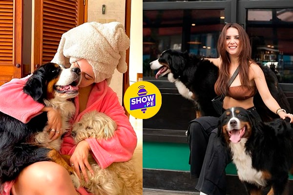 Rosangela Espinoza responde sobre crianza de su perrito Tommy tras acusaciones de abandono